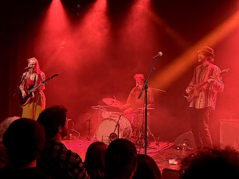 Cultuurweekend Hoorn (diverse artiesten) — muziek in Hoorn