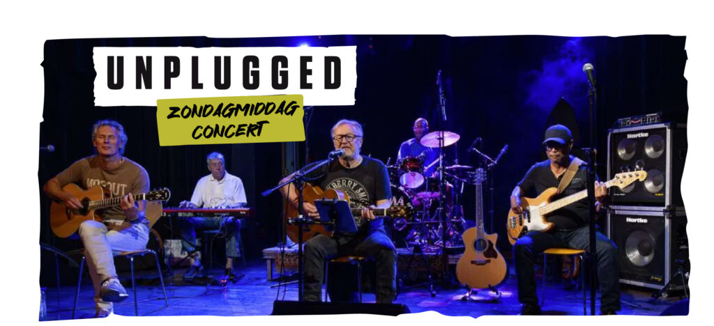 Unplugged: Crowded House, Eurythmics & Fleetwood Mac – Zondagmiddagconcert in Hoorn